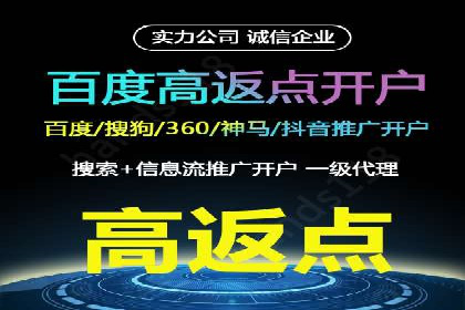 百度竞价包年推广策略——某行业巨头的成功经验